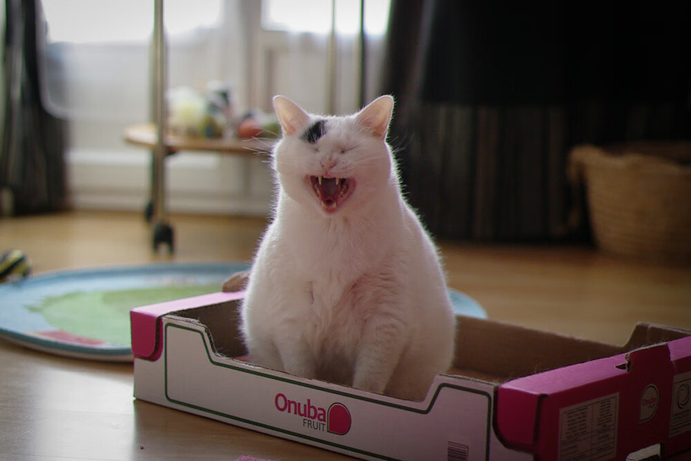 开云集团中国官网-法甲火热对抗：一点点努力换来胜利的喜悦，法甲的强队